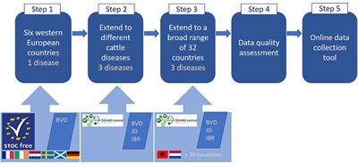 Key Learnings During the Development of a Generic Data Collection Tool to Support Assessment of Freedom of Infection in Cattle Herds